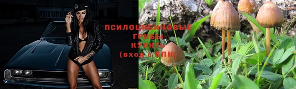 герыч Алексин