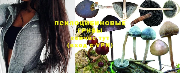герыч Алексин