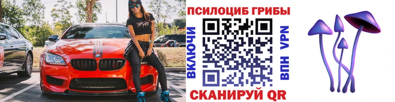 магазин    Кемь  Псилоцибиновые грибы Cubensis 